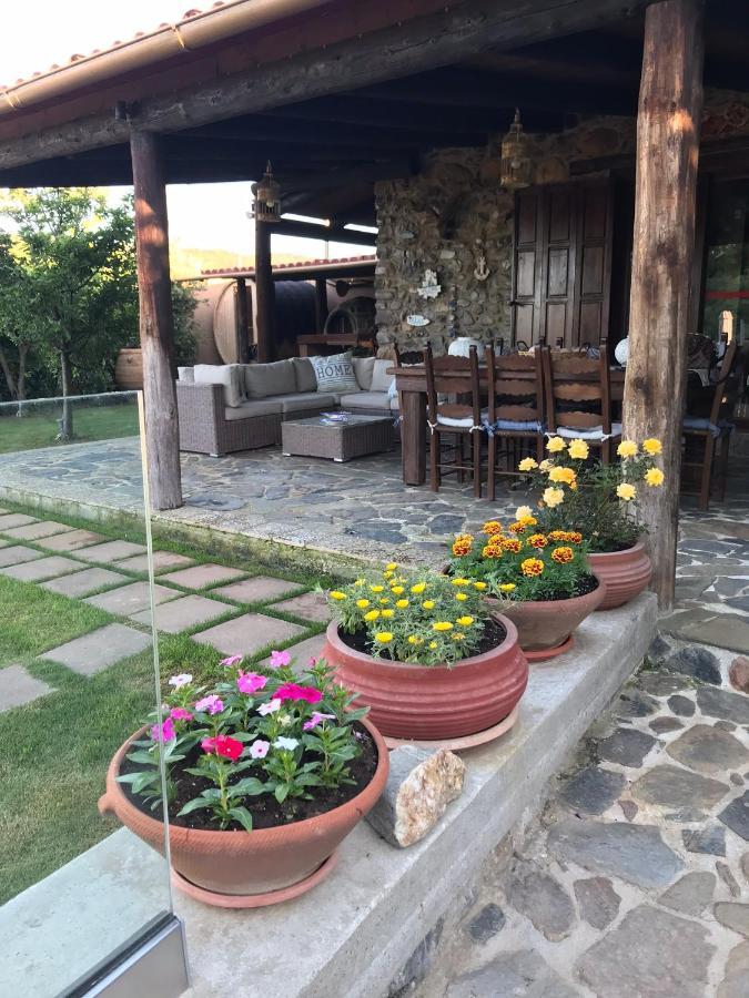Villa Casa Avocado Tavronitis  Exterior photo